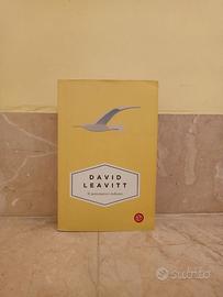 Il matematico Indiano di David Leavitt