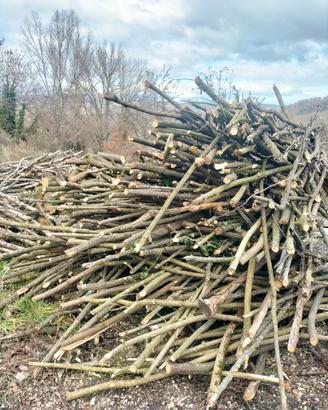 fascine di legno 