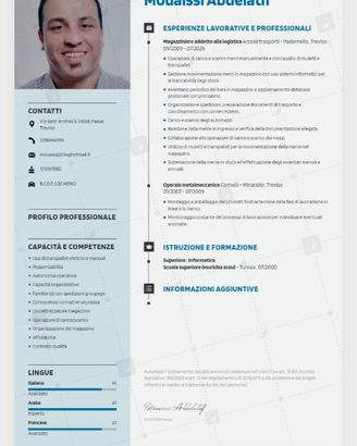 Magazziniere carelista
