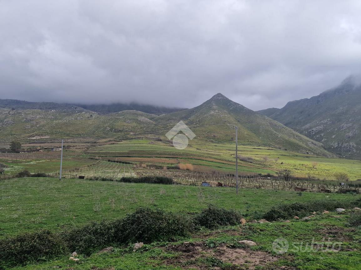 TER. AGRICOLO A BORGETTO - Vista 2