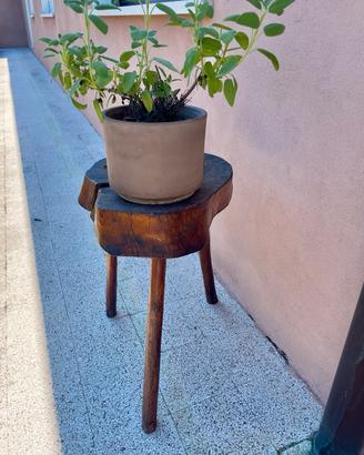 Sgabelli in tronco di abete