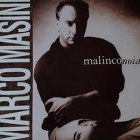 Vinile di Masini
