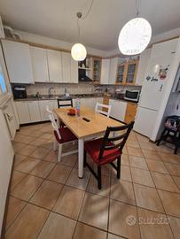 Trebaseleghe appartamento 2 camere