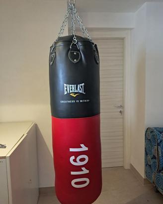 Sacco Boxe Professionale - Everlast Collezione