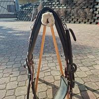 Fascione addestramento