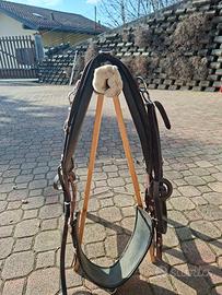 Fascione addestramento