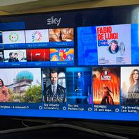 Samsung TV 55 pollici LED