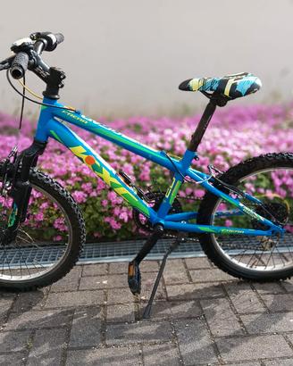 Bicicletta bambino 20