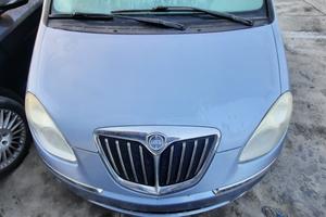 LANCIA MUSA 2008 - COFANO ANTERIORE