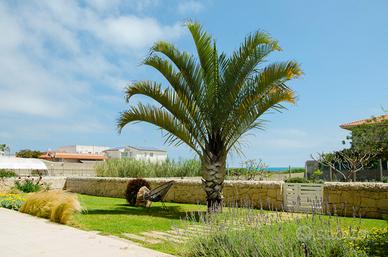Sabbia dorata a 30 mt dal mare di punta braccetto