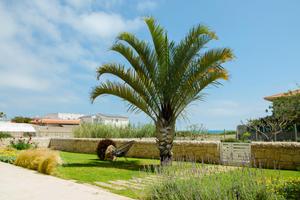 Sabbia dorata a 30 mt dal mare di punta braccetto