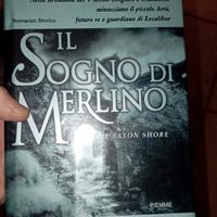 il sogno di Merlino whyte 