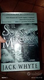 il sogno di Merlino whyte 