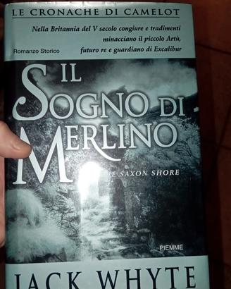 il sogno di Merlino whyte 