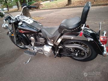 Harley 