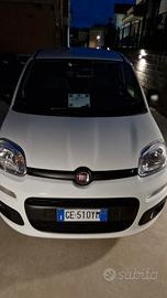 panda van hybrid + gpl