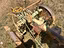 Immagine 2