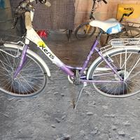 bici 24 