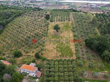 Terreno Agricolo Capaccio Paestum