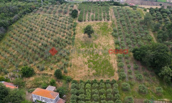 Terreno Agricolo Capaccio Paestum