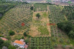 Terreno Agricolo Capaccio Paestum