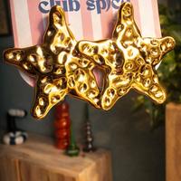 Orecchini stella marina dorati | Acciaio inox NEW