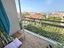 Immagine 19