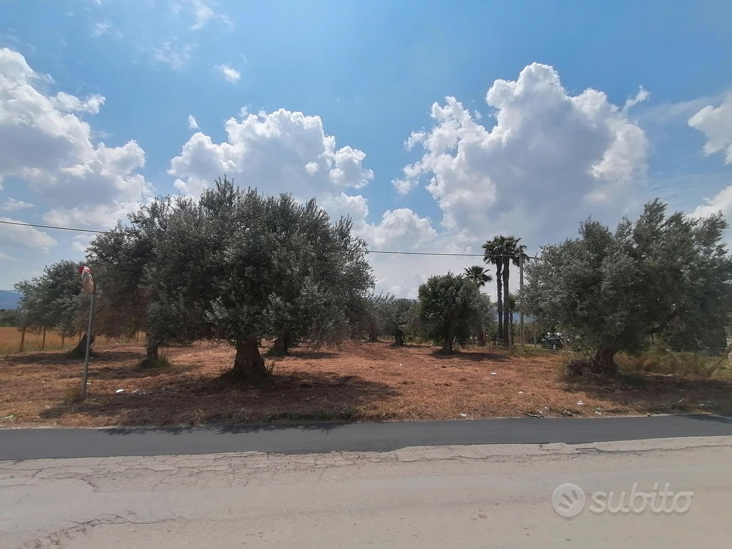 Terreno "CS" in c.da Billona - Comiso Rif. T293 - Vista 4