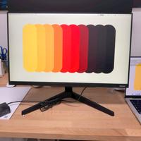 Monitor Samsung Essential 24" Pollici