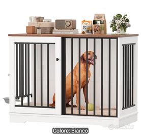 kennel