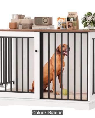 kennel