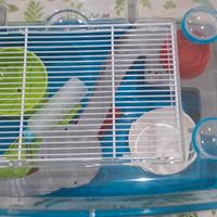 gabbia per roditori 