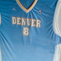 Maglia autografata da Gallinari 