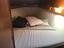Immagine 11
