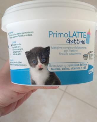 Primolatte gattino Bayer