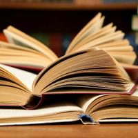 Lezioni private in materie letterarie