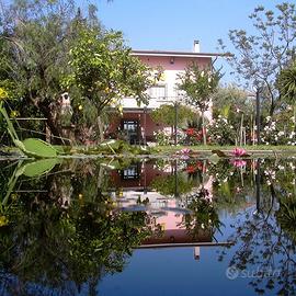 Casa vacanze sulla spiaggia - DAVOLI (SOVERATO)