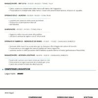 Operaio e Magazziniere con patentino muletto