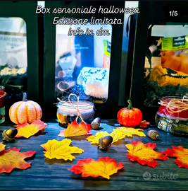 Box sensoriale halloween