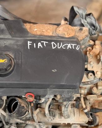 CAMBIO FIAT DUCATO F1AE0481C SPED GARTIS