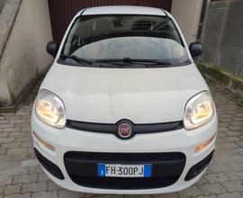 FIAT PANDA 2017 1.2BENZINA EURO6B X NEOPATENTATI P