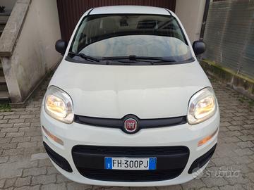 FIAT PANDA 2017 1.2BENZINA EURO6B X NEOPATENTATI P