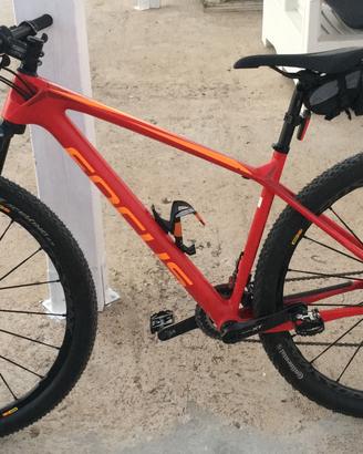 Focus raven + mavic cross max