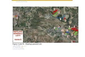 Azienda Agricola Giarratana [A4320294]