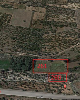 Terreno vicinissimo al paese classificato "Verde"