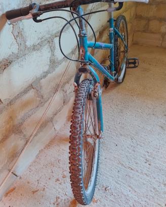 Mountain bike Legnano pony