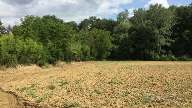 Terreno agricolo a Bagnacavallo