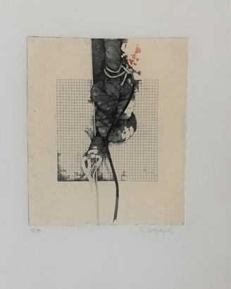 Acquaforte acquatinta di R. CAMPAGNOLI