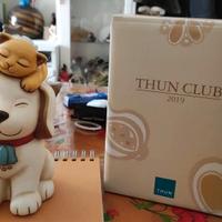 Thun Club 2019 Cane Gatto