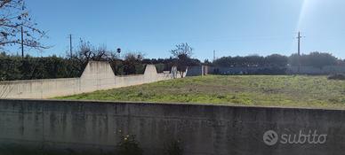 Vendita terreno